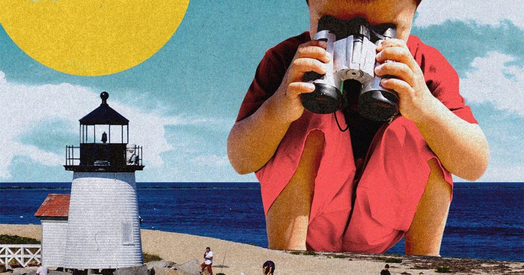 8b92514c 0d56 46c8 bd53 15bf664715ba nationalbeachessocial