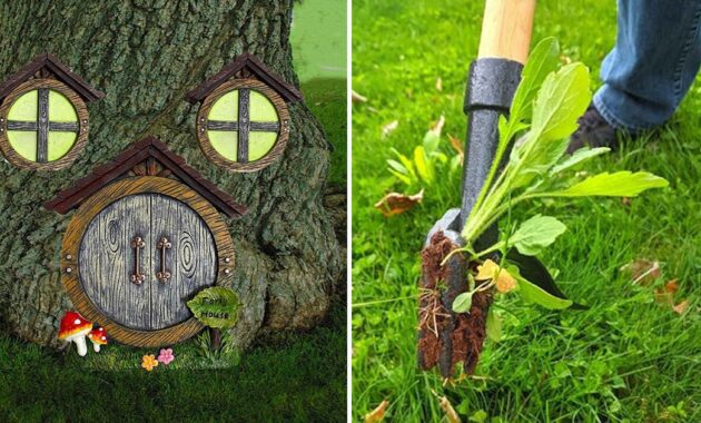 50 weird things for