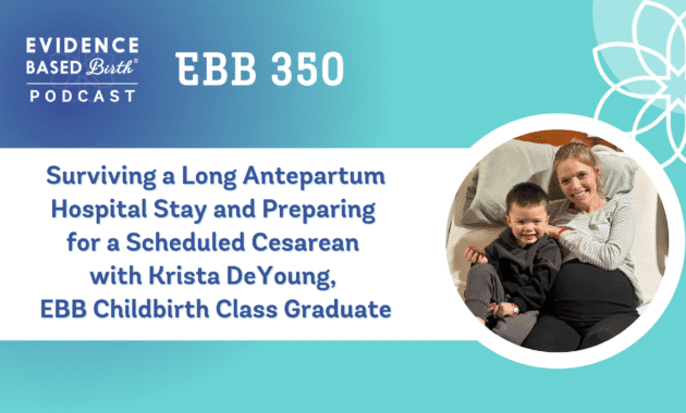 EBB 350 Podcast Blog Banner Size