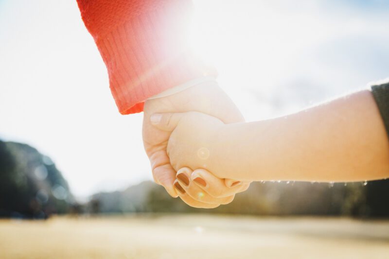 Hands of Parent Child