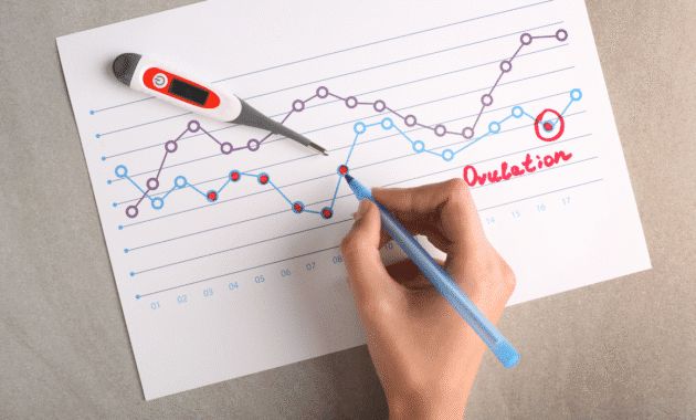 How To Track Your Ovulation Cycle 4
