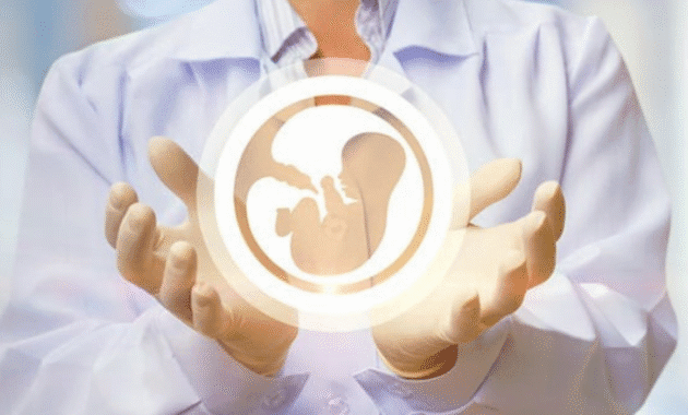 IVF
