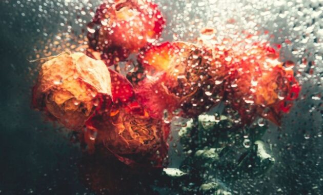 Navigating Miscarriage and Self Blame