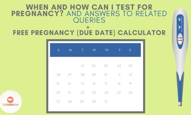 Pregnancy Test At Home Calendar