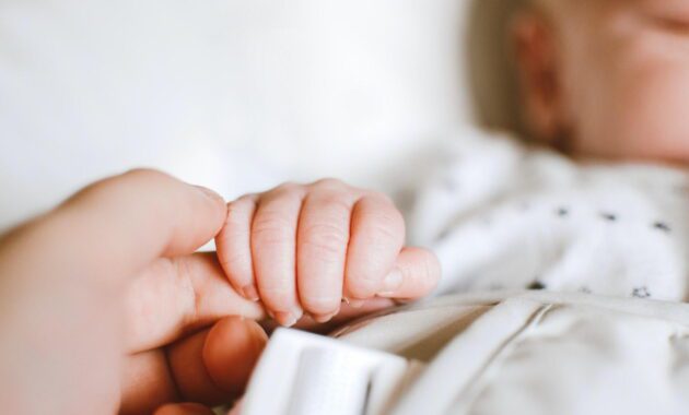 Surrogacy agency
