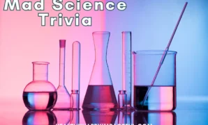 science trivia result.webp