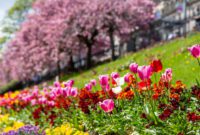 88A8865 HDR.jpg