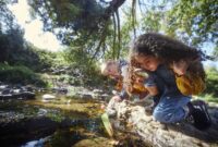 Small boy and girl looking at river with magnifier 1287882633 1257x838.jpeg