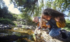 Small boy and girl looking at river with magnifier 1287882633 1257x838.jpeg