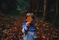 annie spratt Pp2XOLkS5Jg unsplash scaled.jpg