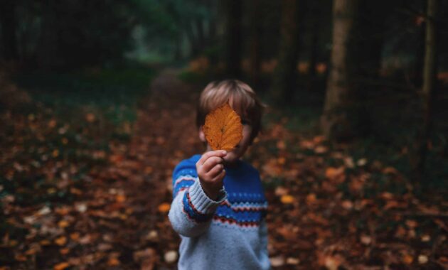 annie spratt Pp2XOLkS5Jg unsplash scaled.jpg