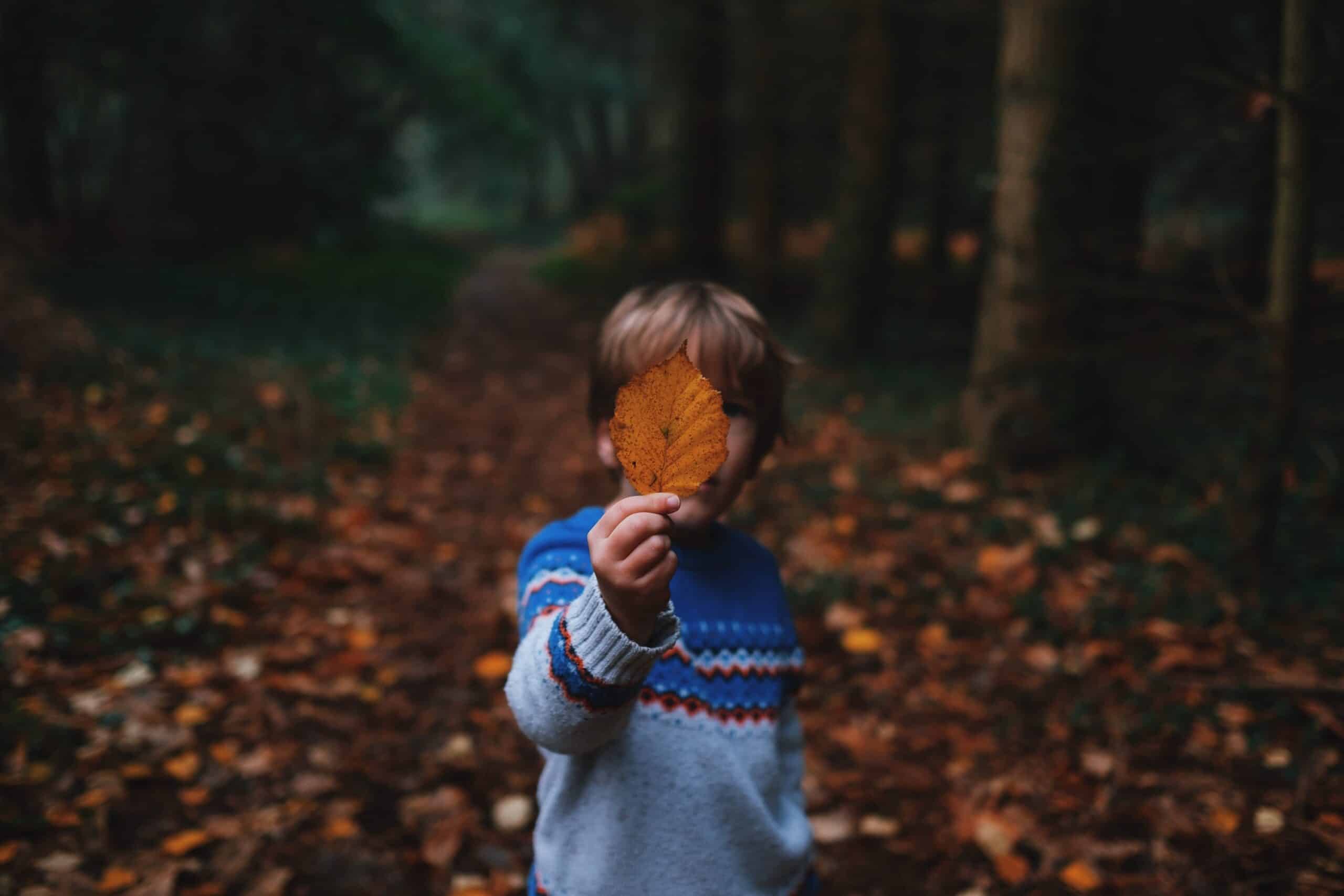 annie spratt Pp2XOLkS5Jg unsplash scaled.jpg