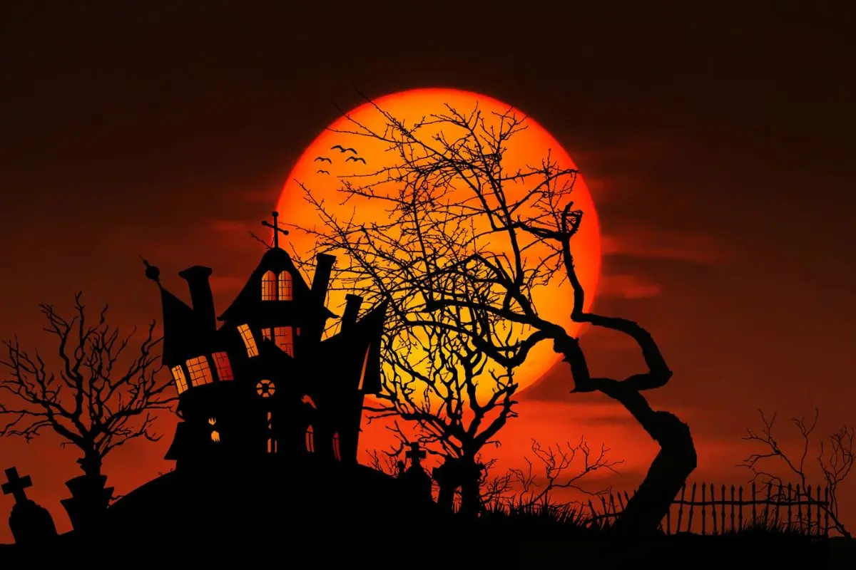 never ever halloween result.webp.webp