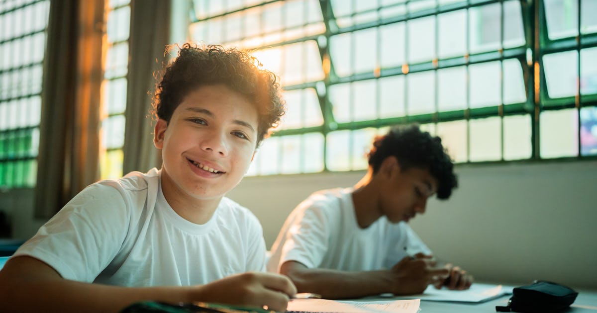 portrait of a schoolboy.jpg