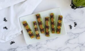 spiders on a log 1.jpg