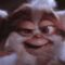 feralgremlin social.jpg