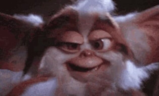 feralgremlin social.jpg