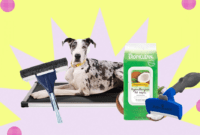 hangonbuying petsupplies social.png