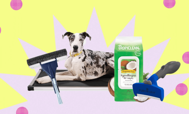 hangonbuying petsupplies social.png
