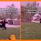 1755787191 sm facebook tiktok screenshots border.jpeg