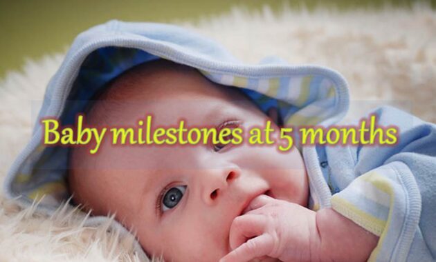 baby milestones at 5 months 04.jpg