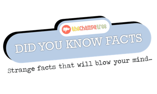 did you know facts featured.png