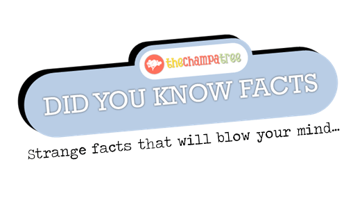 did you know facts featured.png