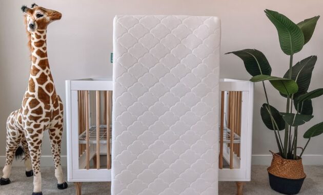 newton baby crib mattress.jpg