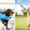 weird things for dogs.jpg