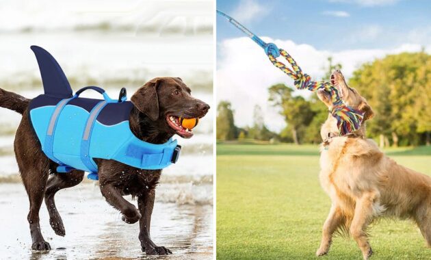 weird things for dogs.jpg