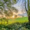 DSC7094 HDR jpg.webp.webp