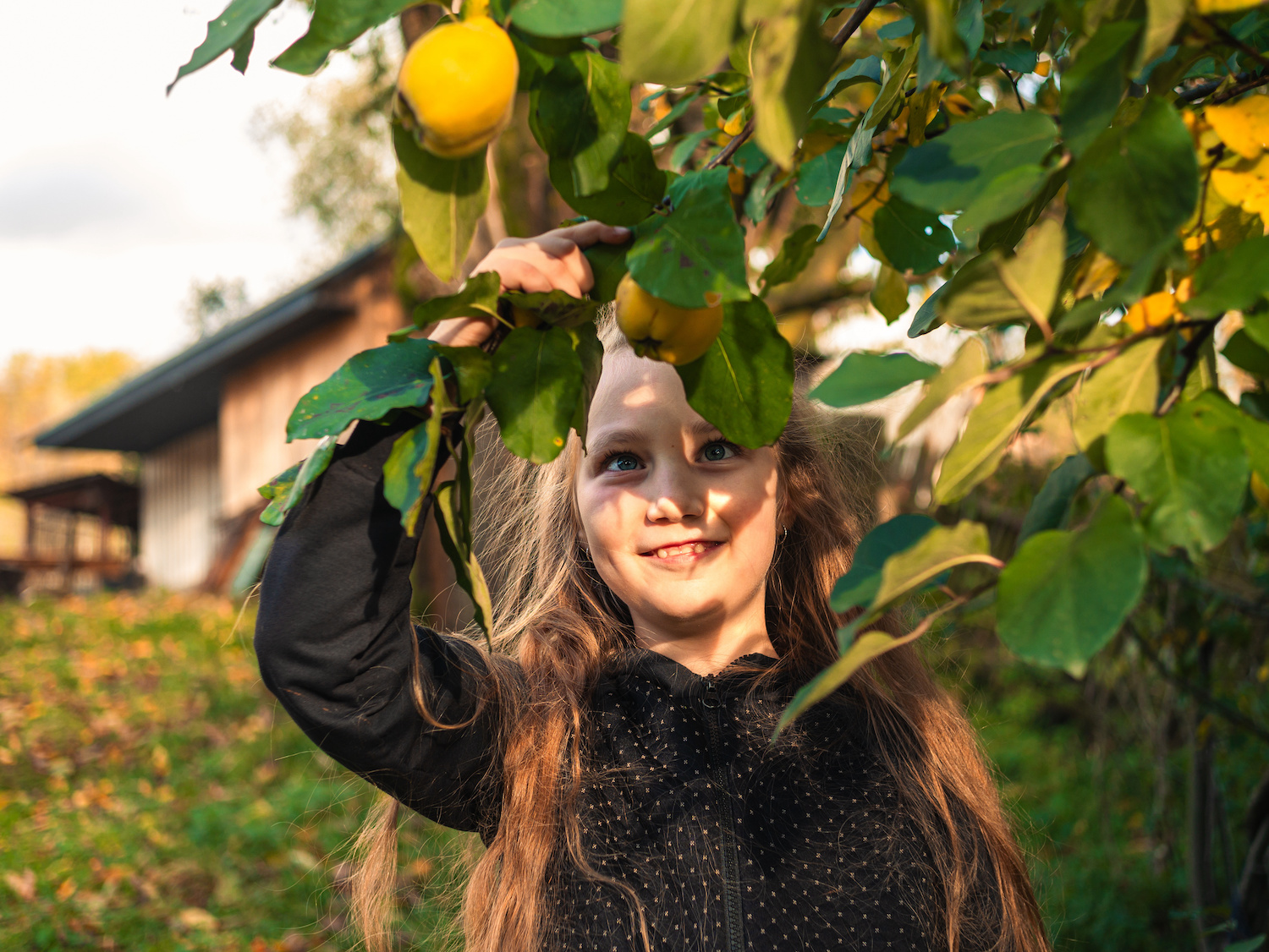 Girl picking fruit from tree happy to eat real food.jpg