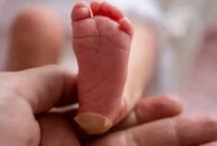Newborn Screening Blog Image.webp.webp