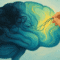trauma therapy mental health pathways 800x450.png