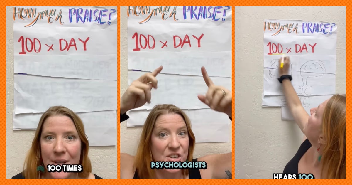 1763409145 sm facebook tiktok screenshots border001.jpeg