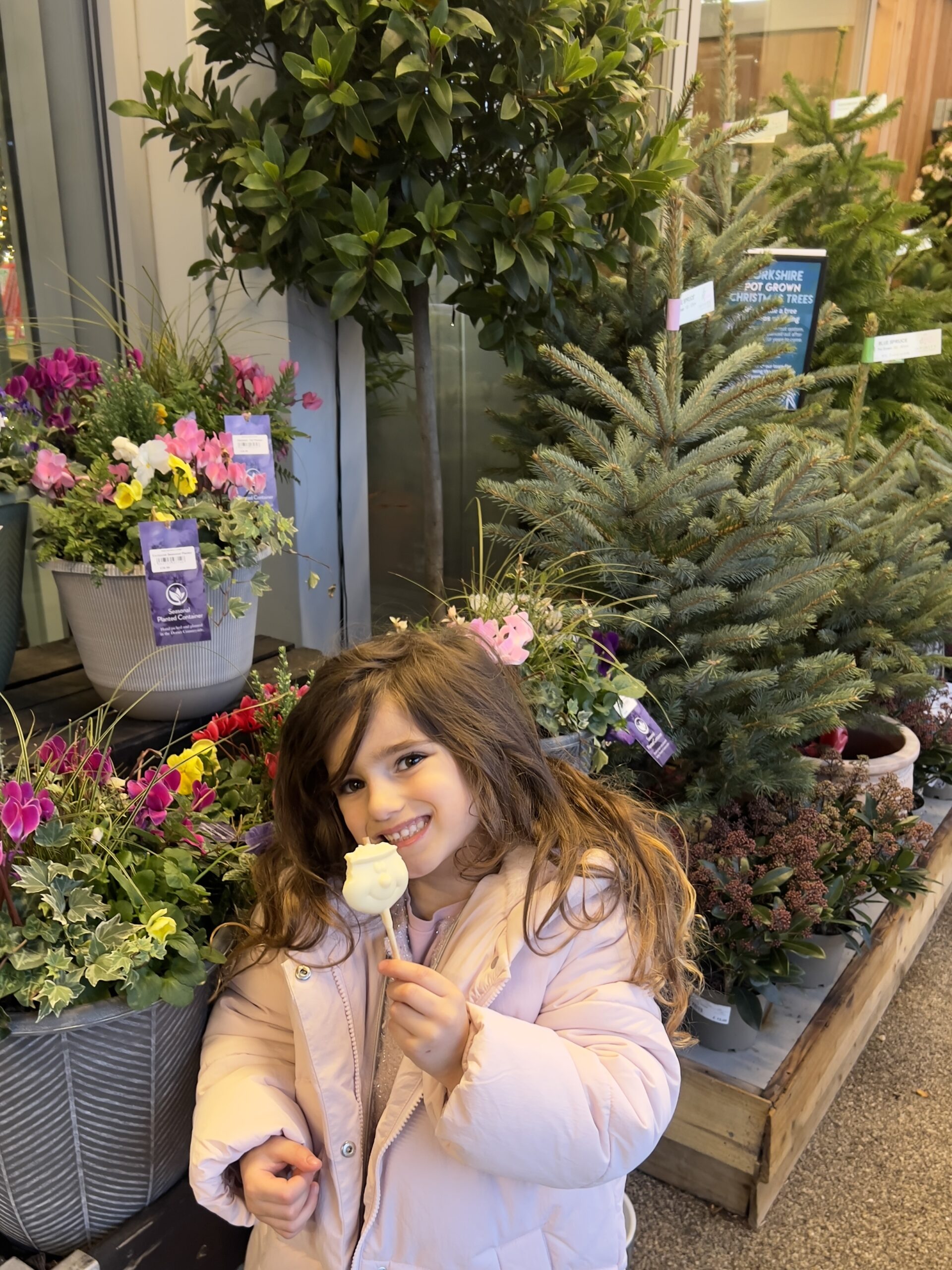 image1 20 scaled.jpeg