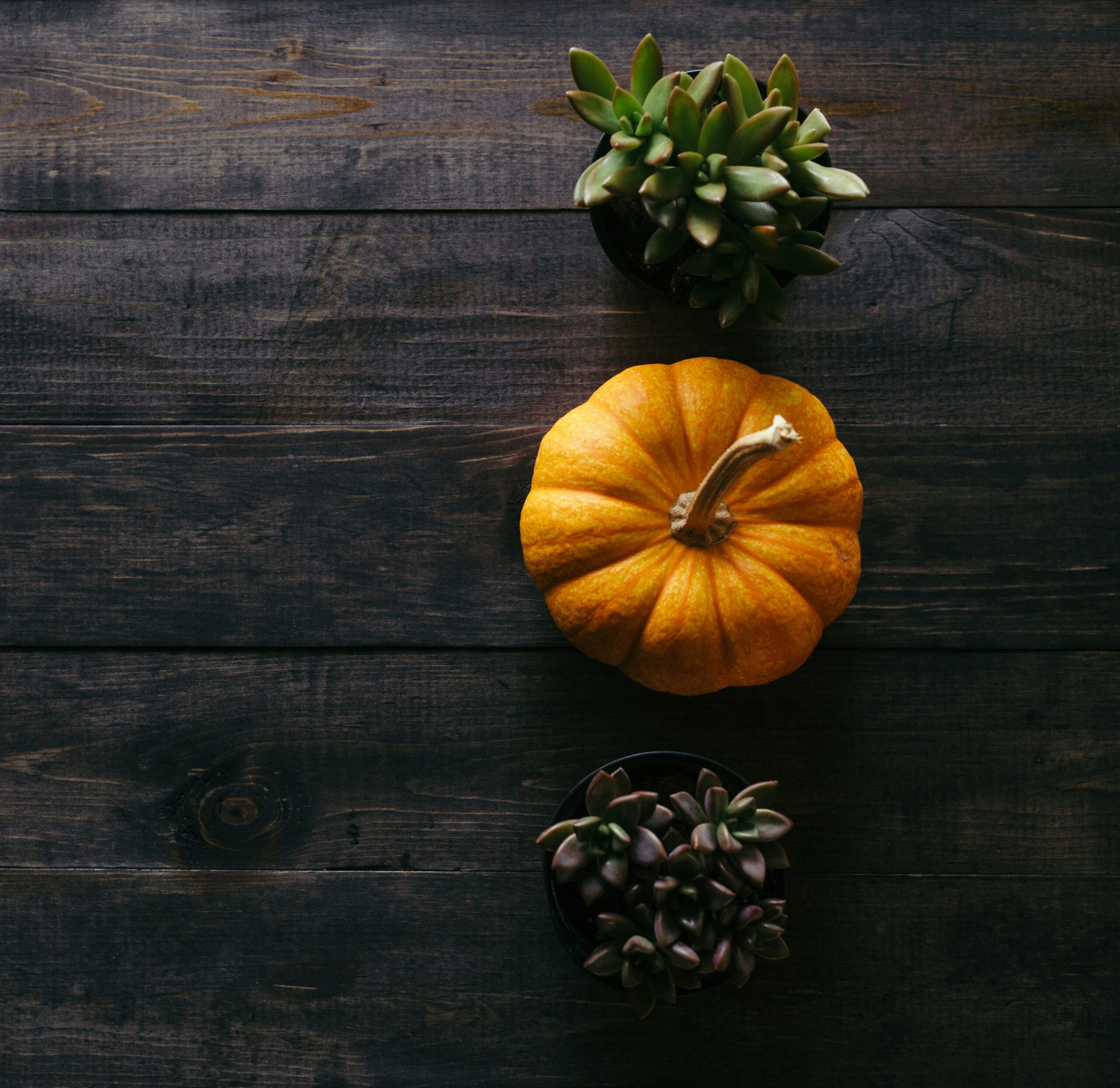 patrick fore hoxqcGUheeo unsplash.jpg