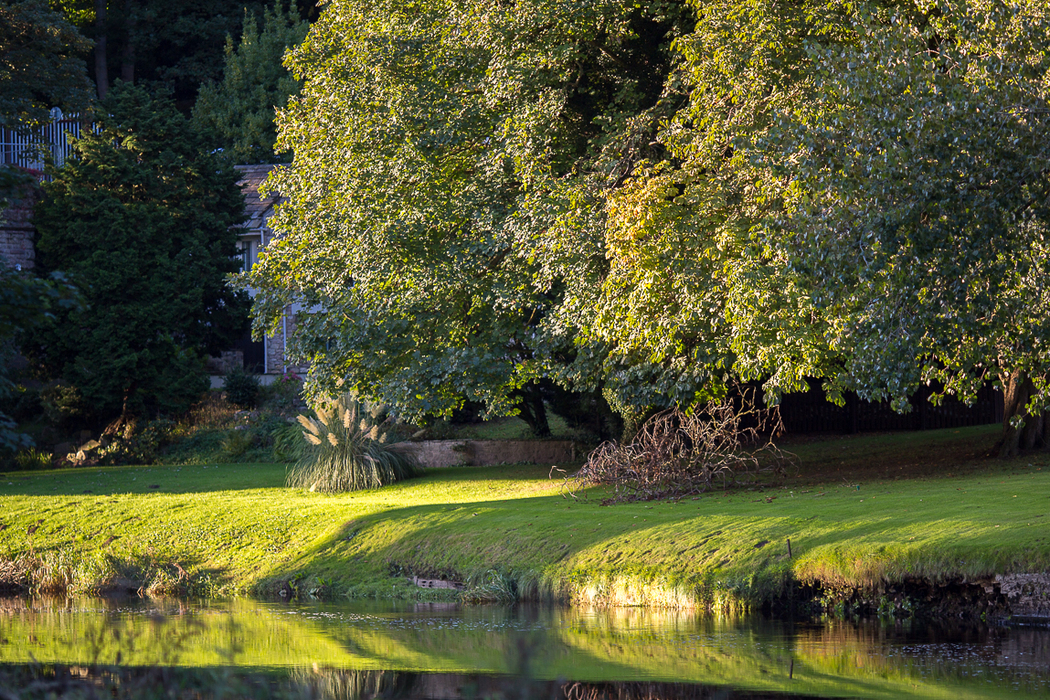 20161002 88A8965.jpg