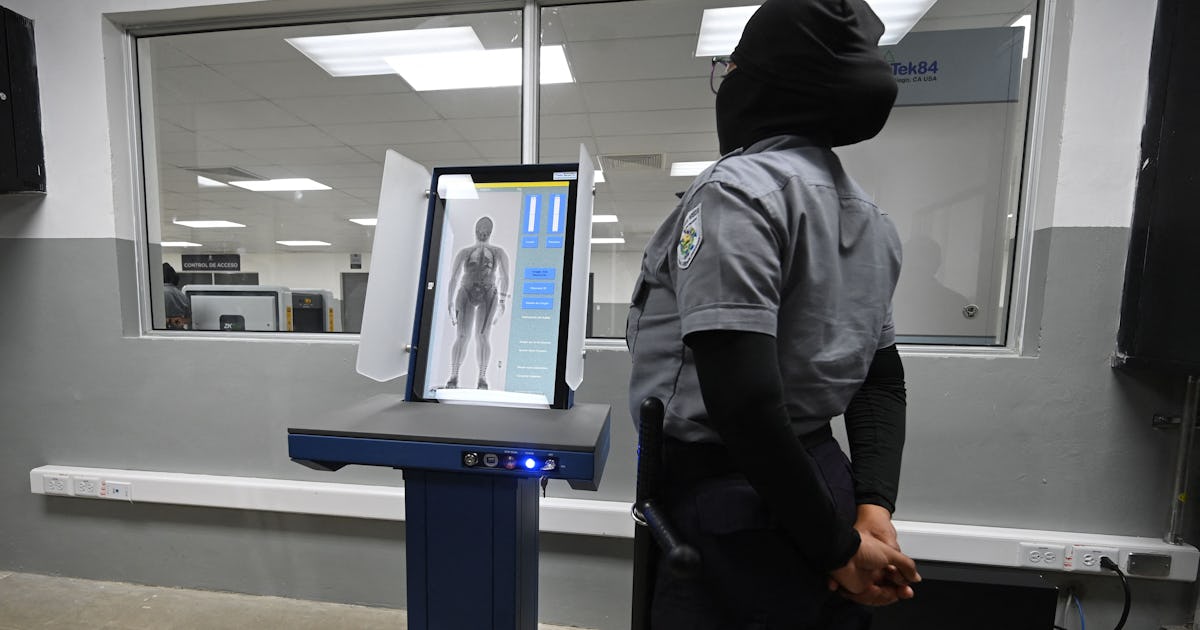 a prison security officer.jpg