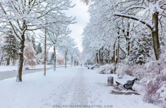 winter family feud result.webp.webp