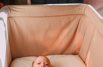 Blog Banner Free Only 50.jpg