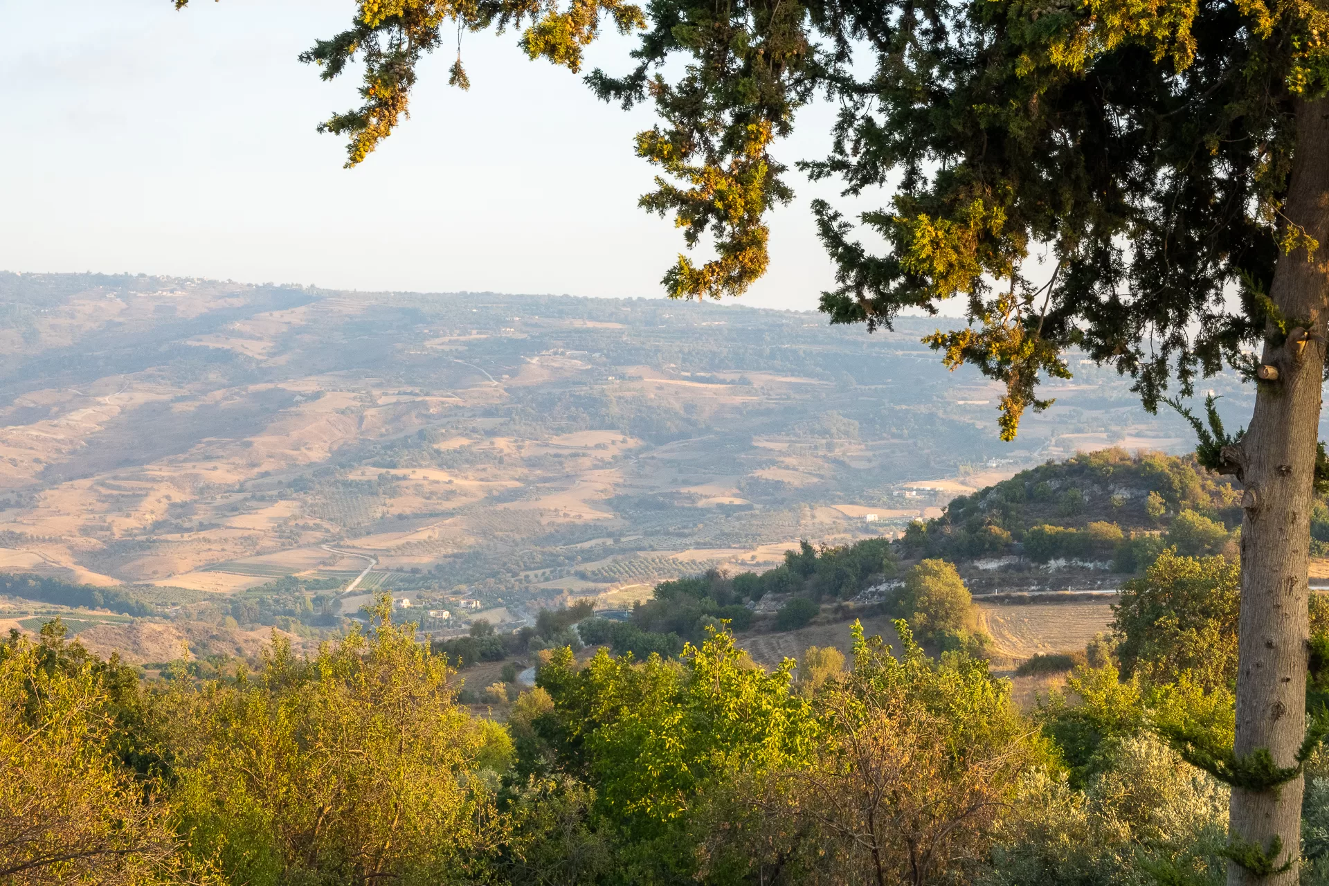 DSC5974 1 jpg.webp.webp