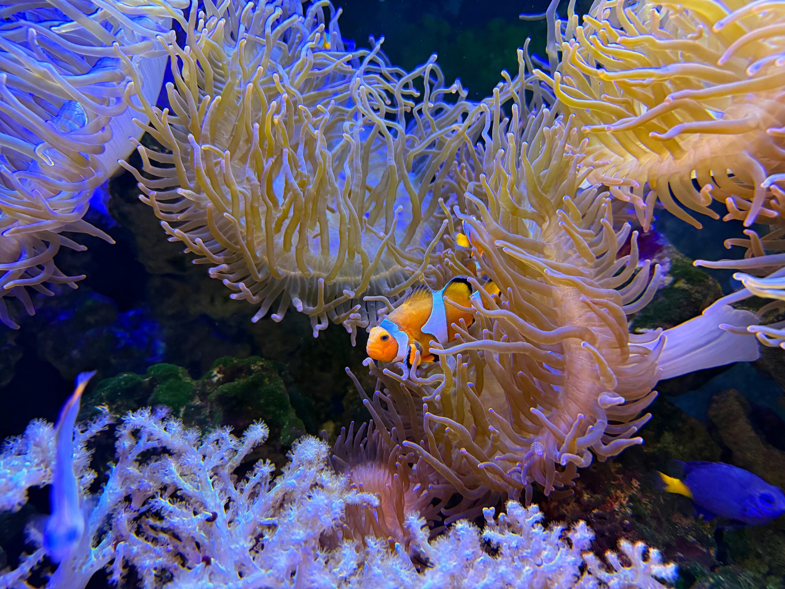 kelvin zyteng JBpJ5XBtoI4 unsplash scaled.jpg