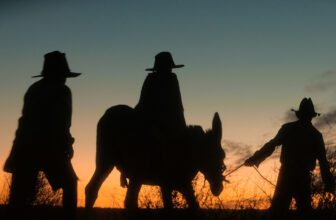 202606004 1 H 2026.jpg