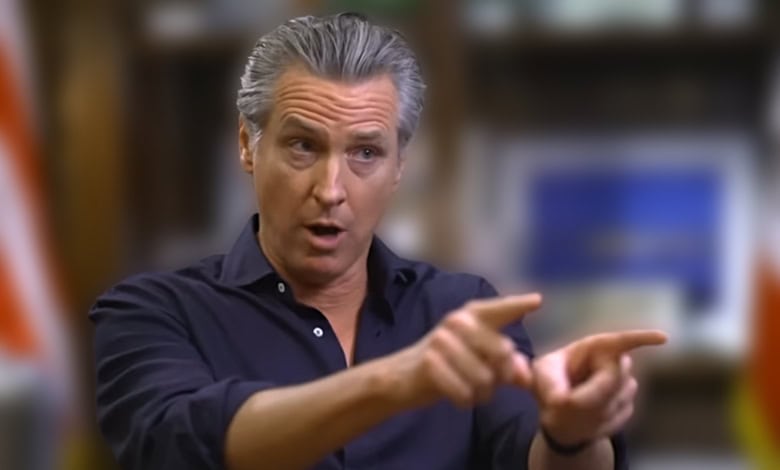 Gavin Newsom Daily Show 2.jpg