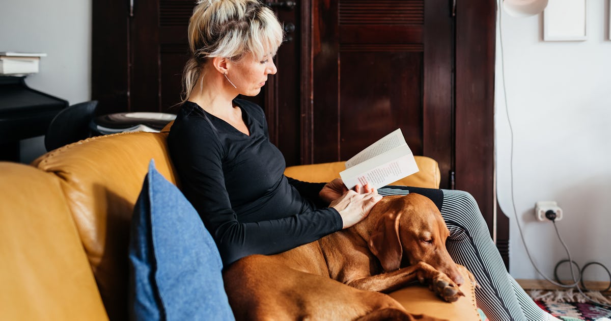 gettyimages 1328699104.jpg