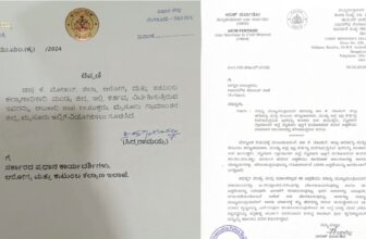 healthdp 1770995936.jpg