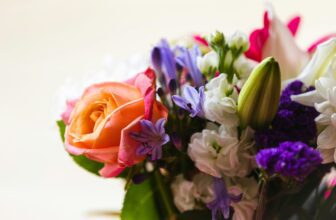 james coleman 8JZfvYQJiyc unsplash scaled.jpg