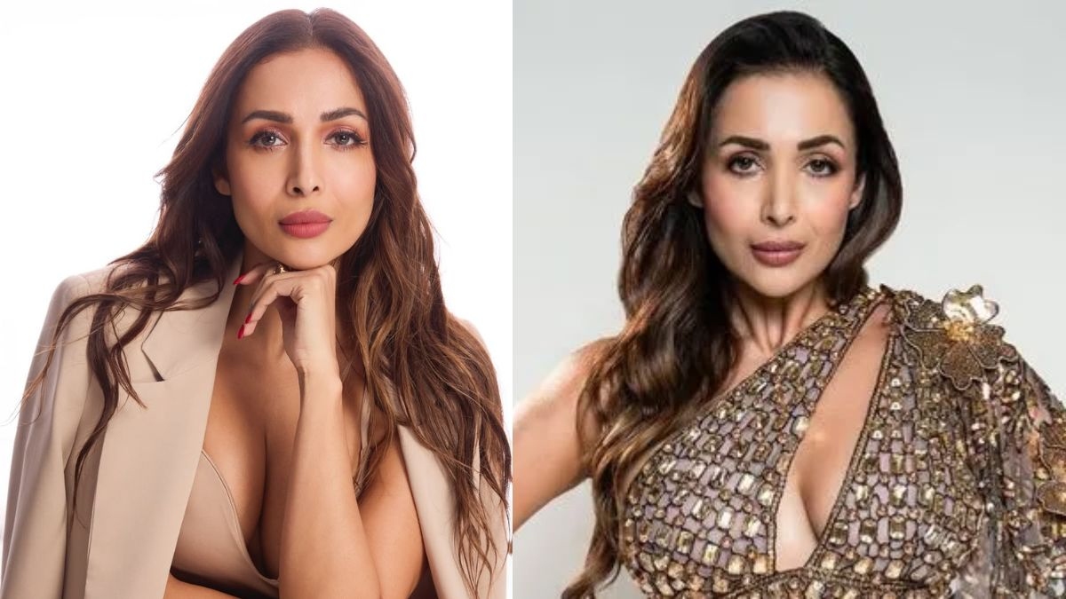 malaikaarora1 1771913922.jpg