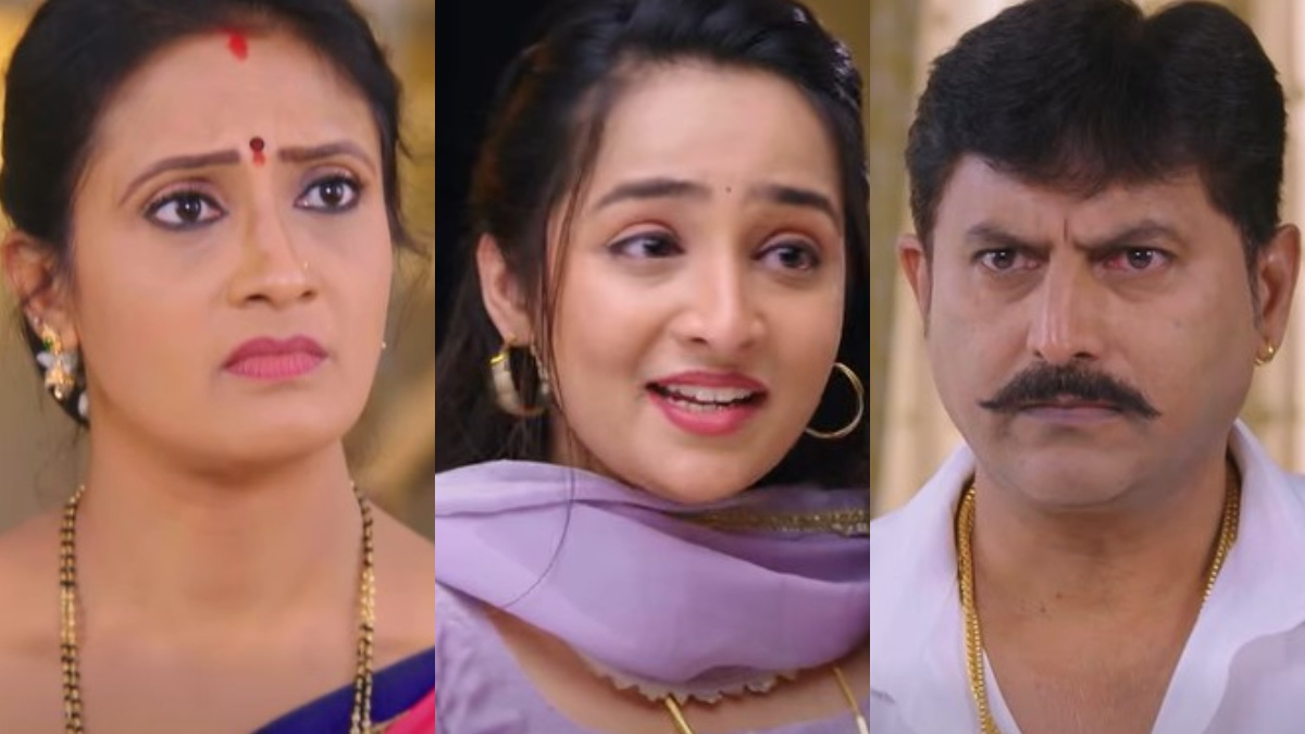 nandagokula kannada serial 1771564206.jpg